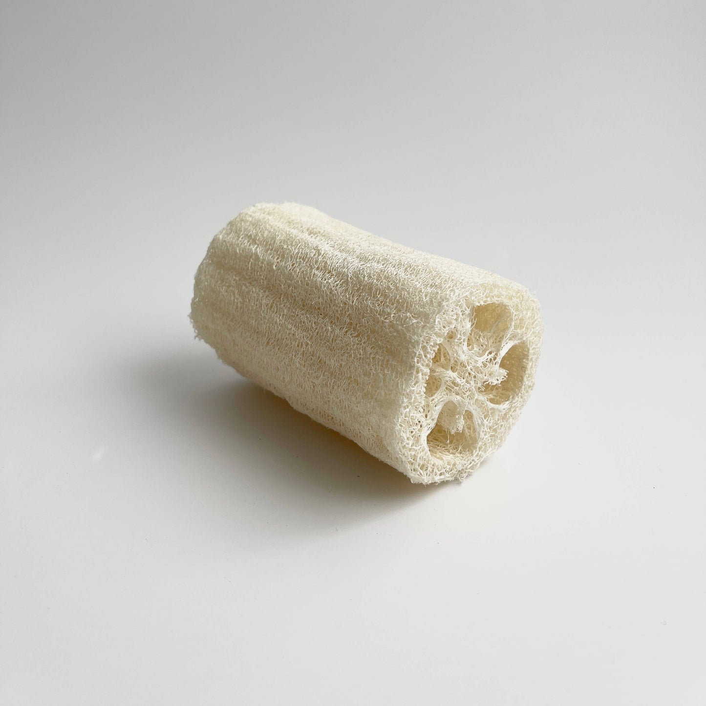 Natural Loofah Sponge