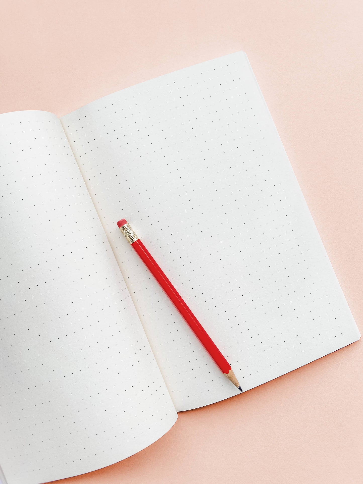 The Girls - Notebook - Dot Grid