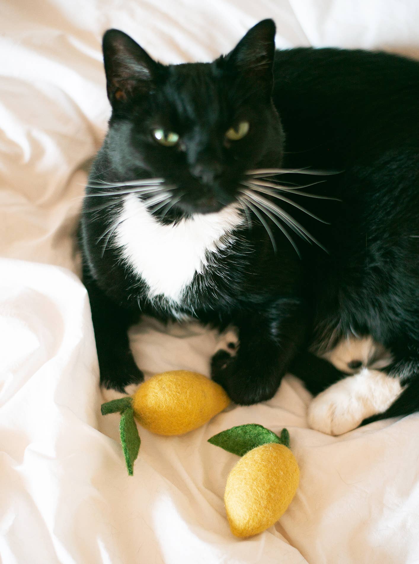 LEMON Wool Cat Toy
