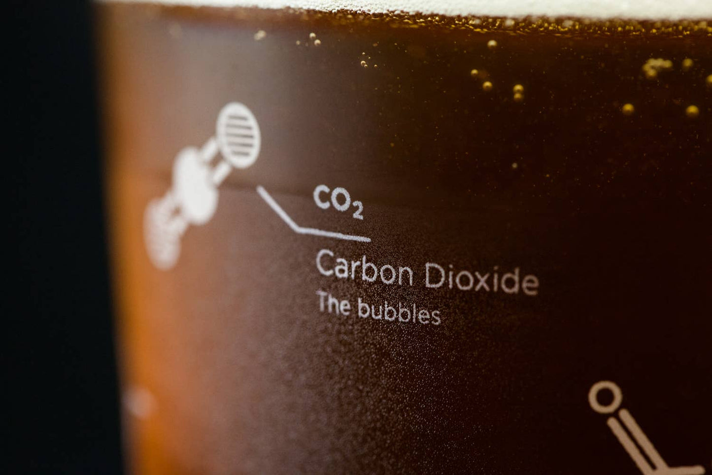 The Science of Beer Pint Glass - Set of 2