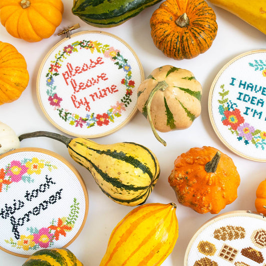 This Took Forever - Cross Stitch Kit