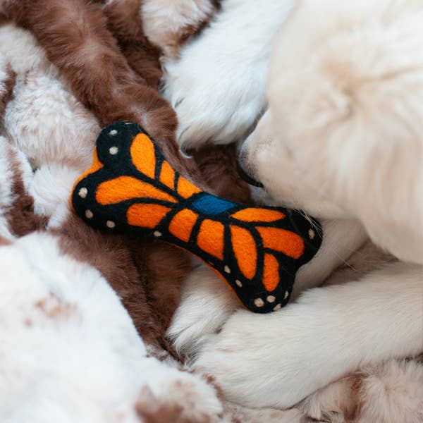 MONARCH BUTTERFLY WOOLBONE Dog Toy