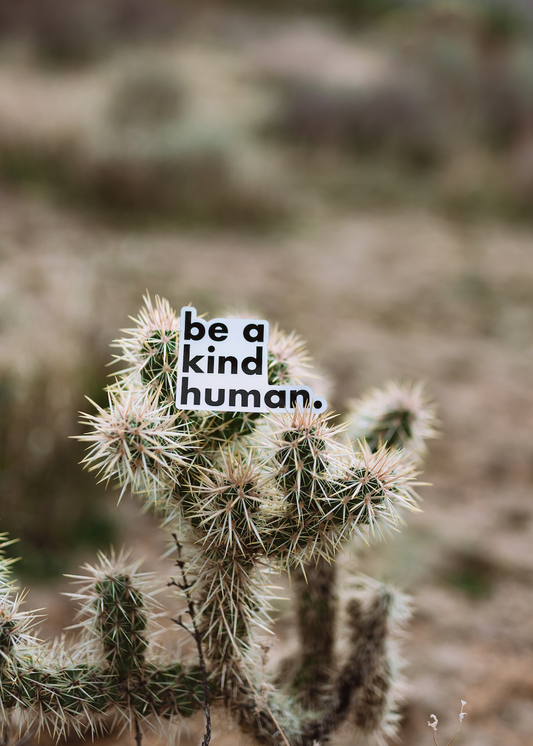Be a Kind Human Sticker // Holographic
