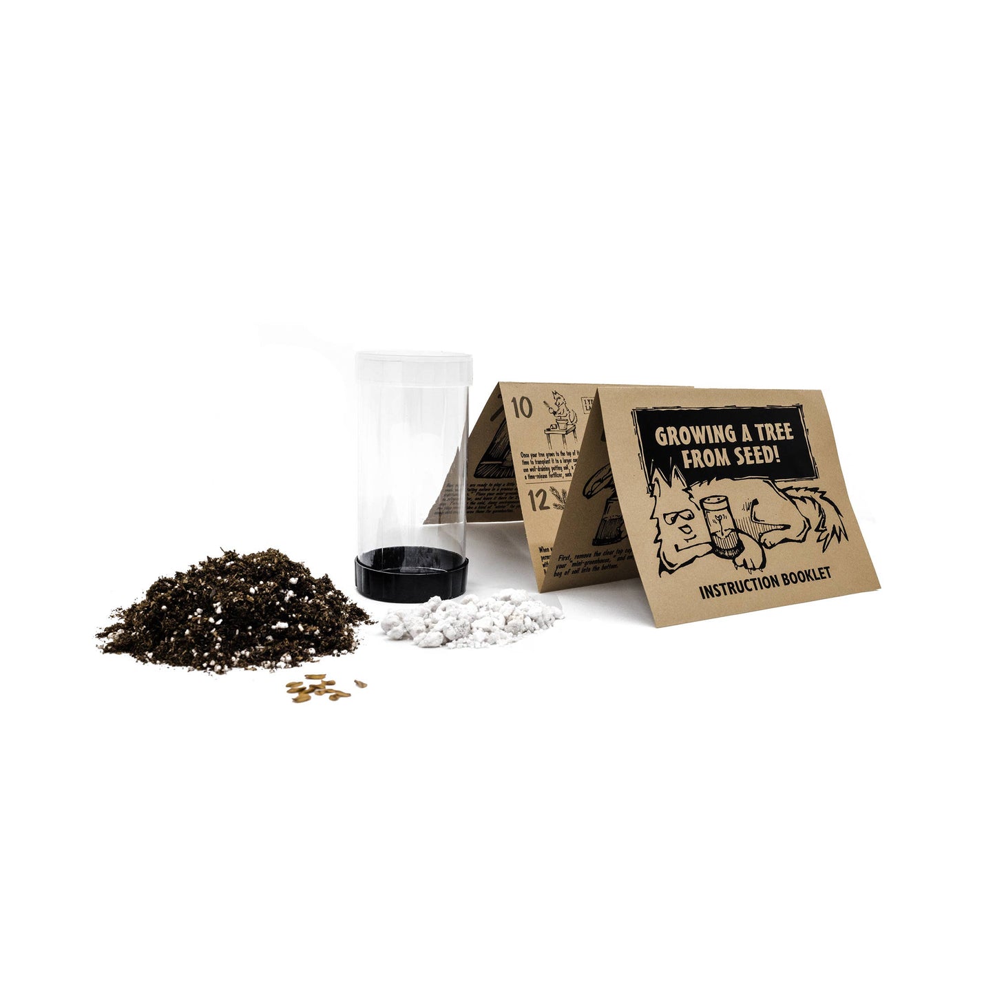 Coast Redwood | Seed Grow Kit