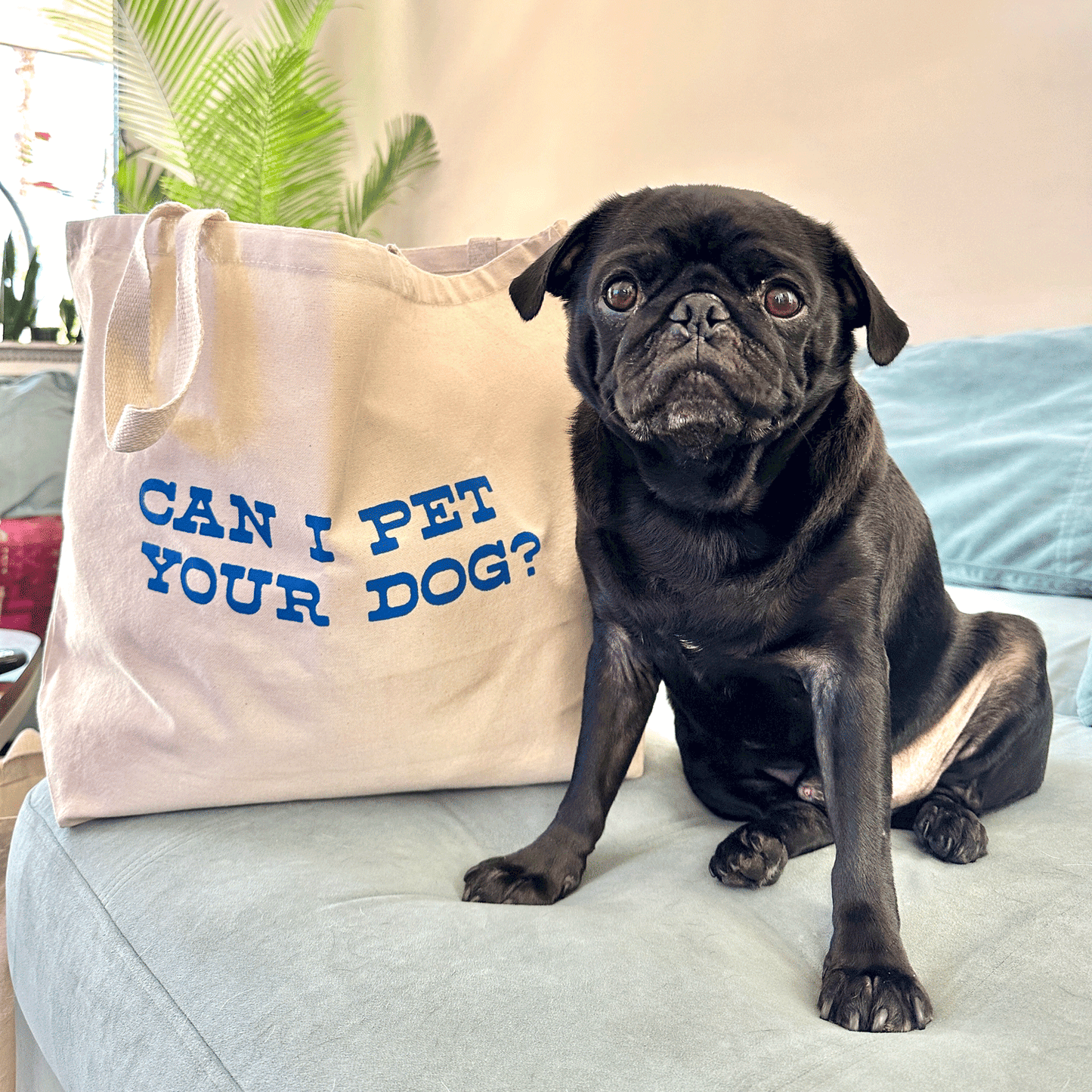 Can I Pet Your Dog - Tote Bag