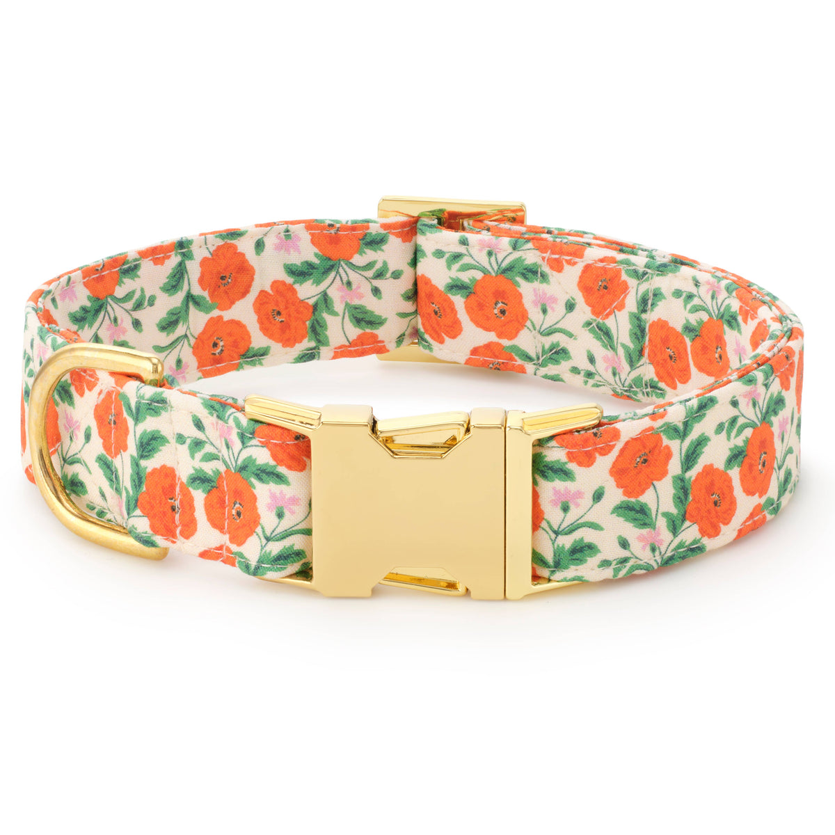 Golden Poppies Dog Collar