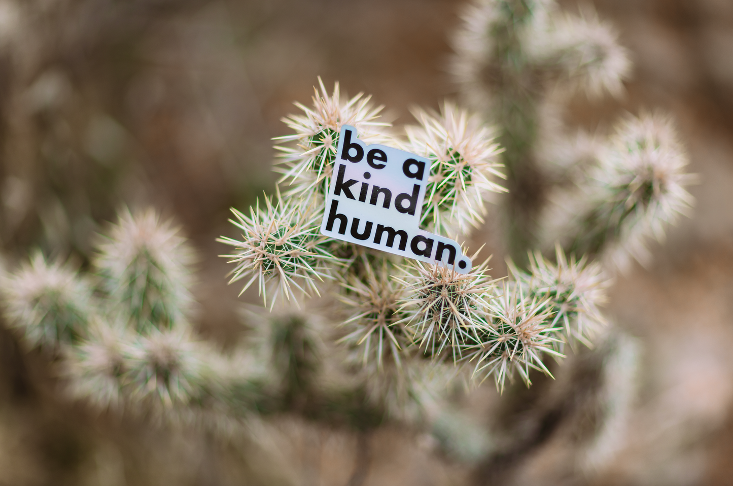 Be a Kind Human Sticker // Holographic