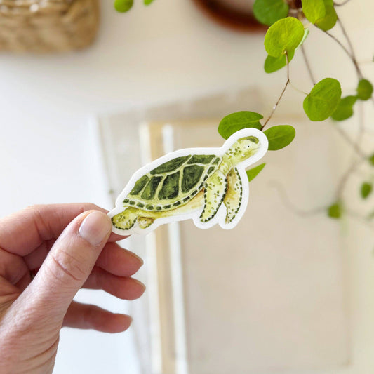 Sea turtle sticker