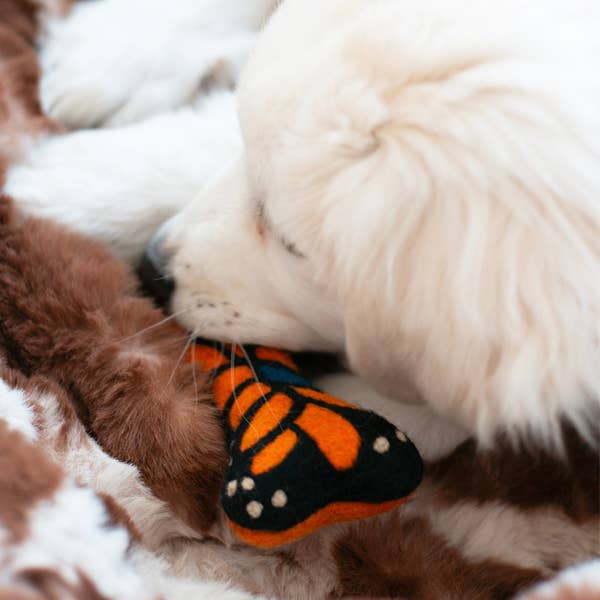 MONARCH BUTTERFLY WOOLBONE Dog Toy
