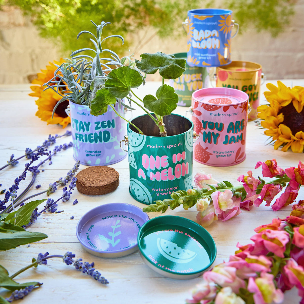 Complimentary Color Grow Kits