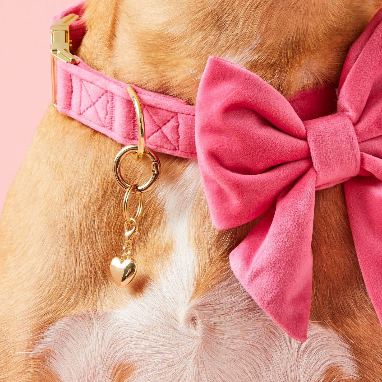 Heart of Gold Collar Charm