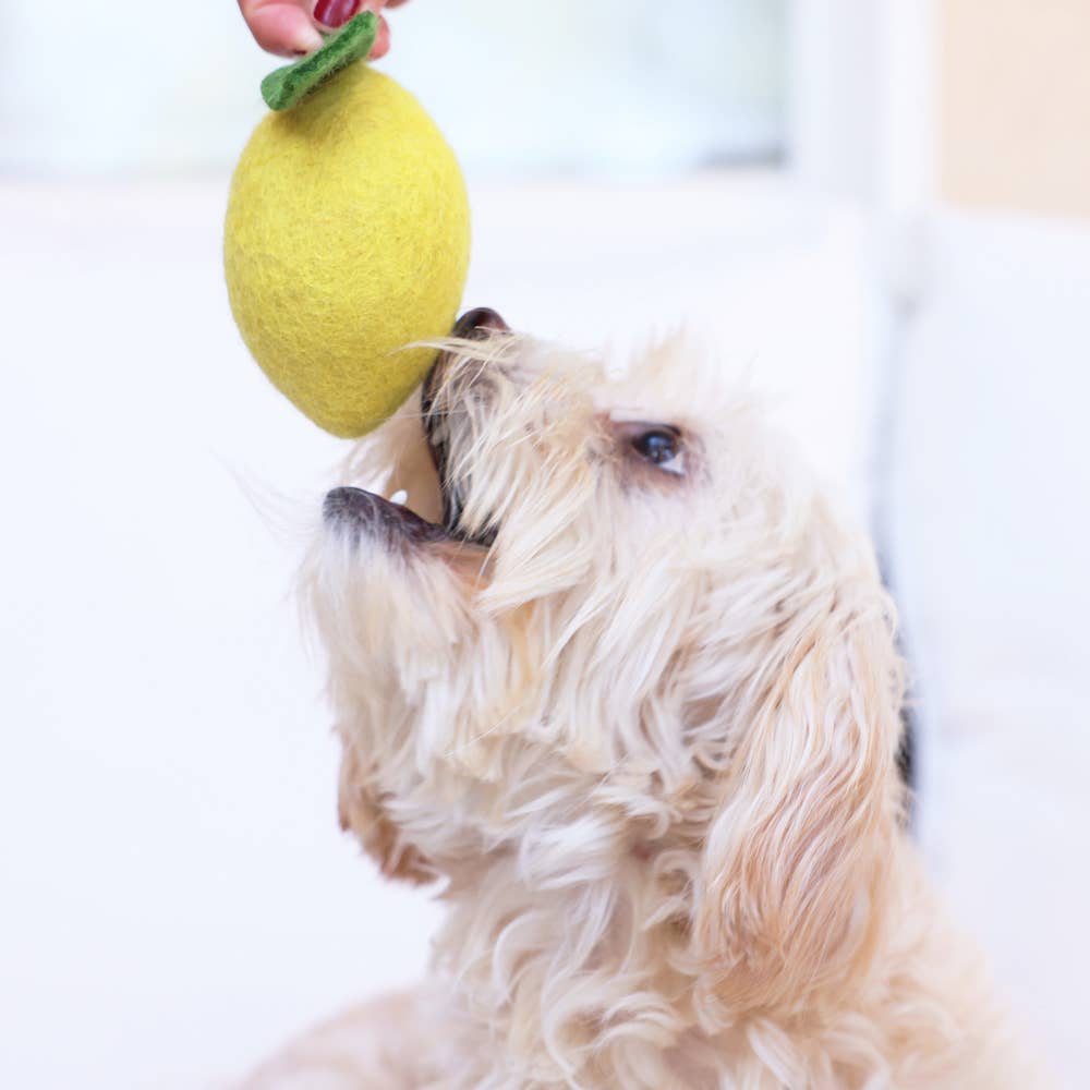 LEMON Wool Cat Toy
