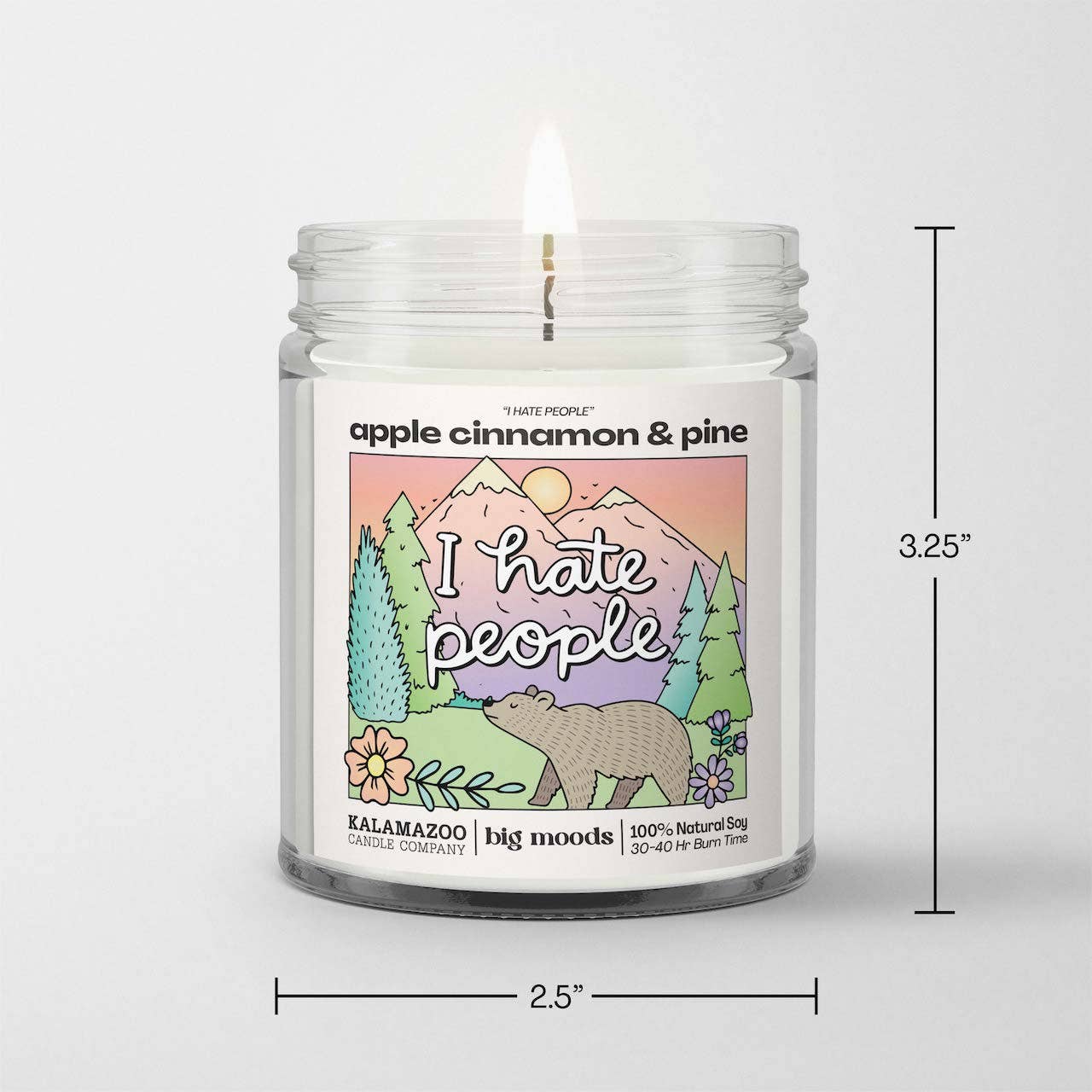 "I Hate People" Apple Cinnamon & Pine -  Luxury Soy Candle