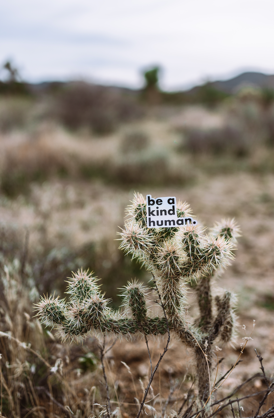 Be a Kind Human Sticker // Holographic