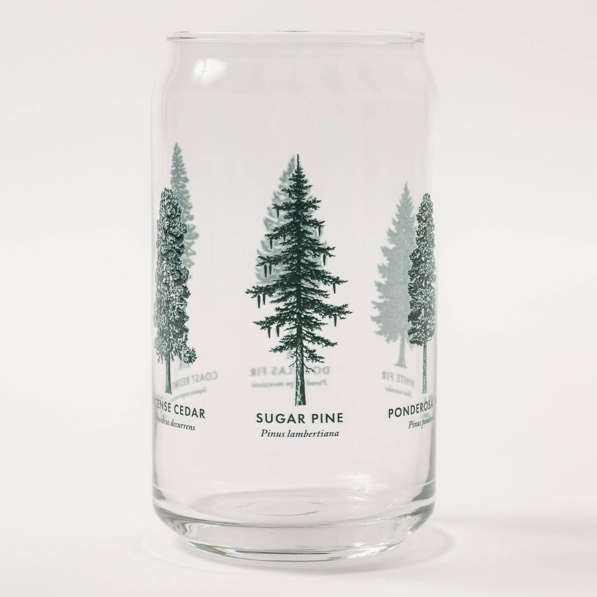 California Forests Beer Can Glass