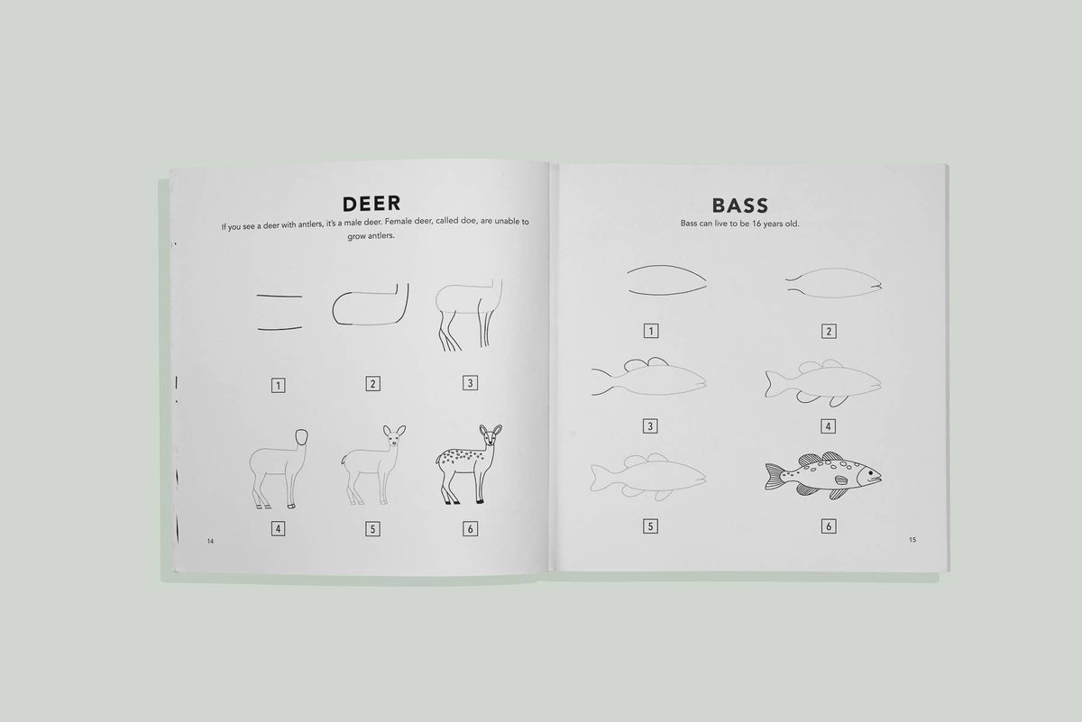 Mushrooms & Woodland Creatures: Kids How to Draw Book