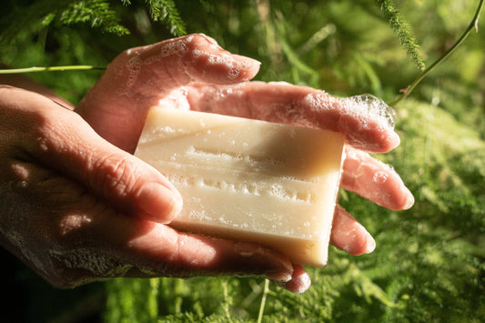 Redwood Mist Organic Bar Soap | Vegan Soap | Organic Soap