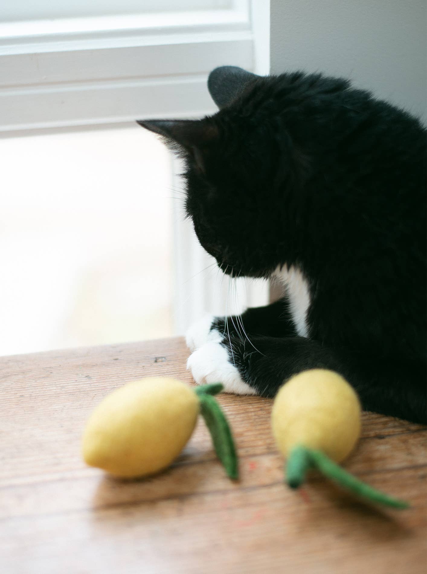 LEMON Wool Cat Toy
