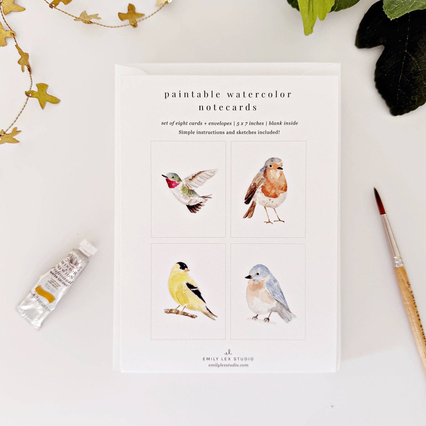 Birds paintable watercolor notecard set