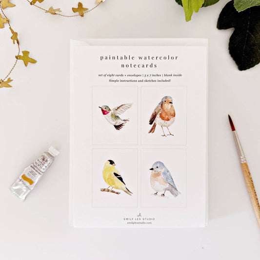 Birds paintable watercolor notecard set