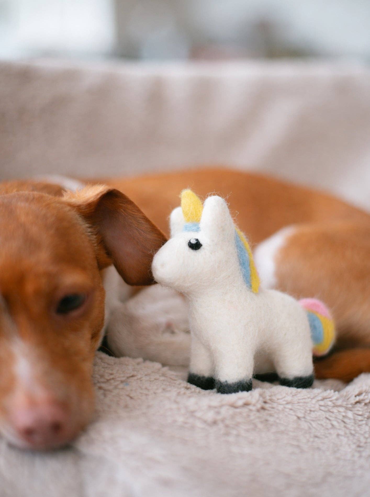 MAGICAL UNICORN Wool Dog & Cat Toy from A Purposeful Rescue