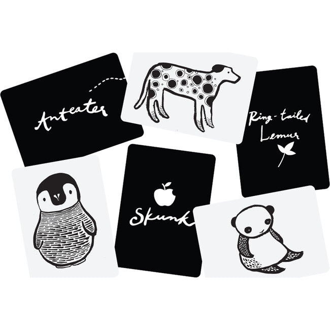 Black & White Art Cards